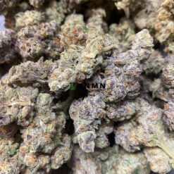 Grape Gasoline - Cheap Weed Canada - Dispensary Near Me Now