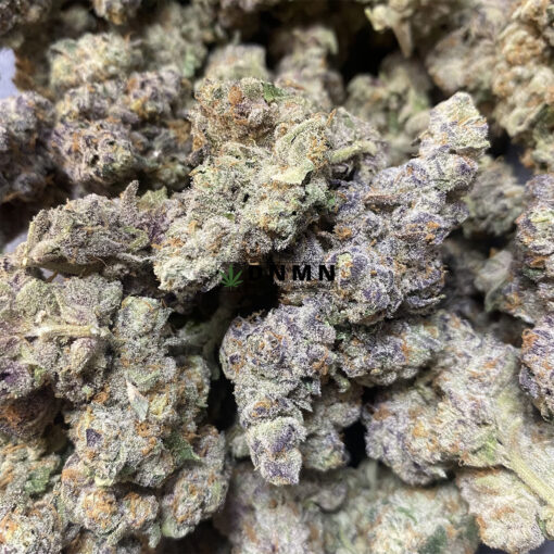 Grape Gasoline - Cheap Weed Canada - Dispensary Near Me Now