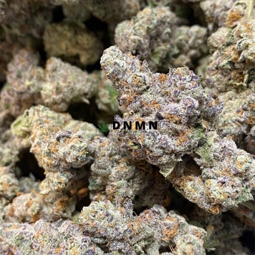 Hawaiian Punch - Online Dispensary Canada - Dispensary Near Me Now