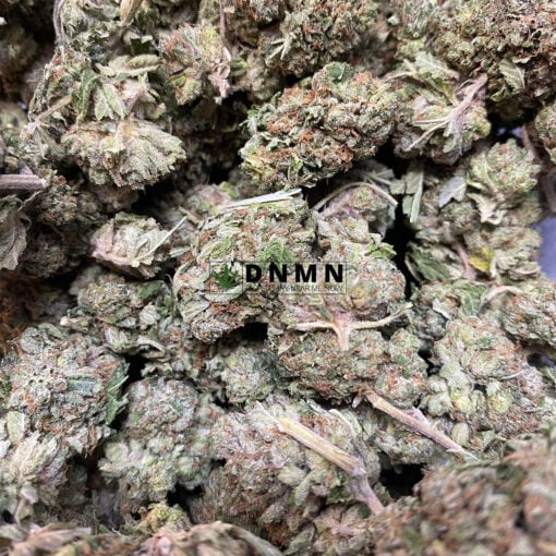 King's Kush - Cheap Weed Canada - Dispensary Near Me Now