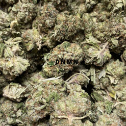King's Kush - Online Dispensary Canada - Dispensary Near Me Now