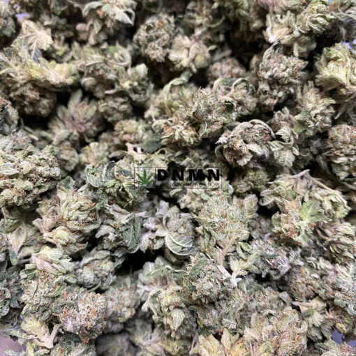 Pink Gas - Cheap Weed Canada - Dispensary Near Me Now