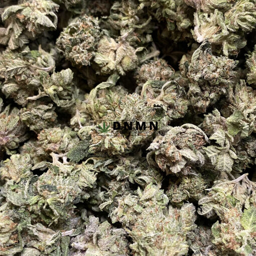 Pink Gas - Online Dispensary Canada - Dispensary Near Me Now
