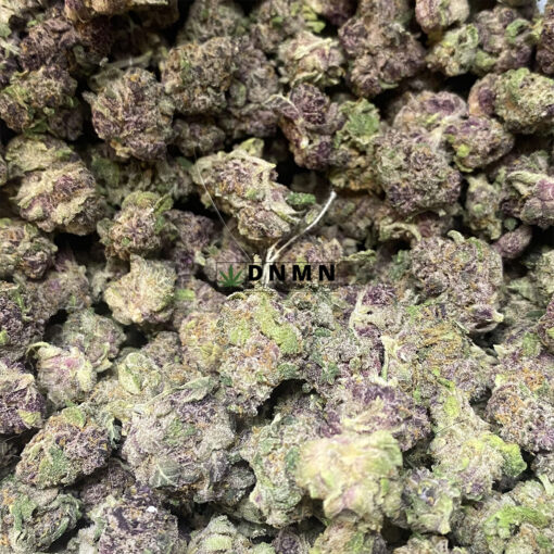 Rainbow Lava - Online Dispensary Canada - Dispensary Near Me Now