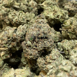 Rockstar OG - Online Dispensary Canada - Dispensary Near Me Now