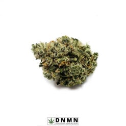 Rocktar OG - Buy Weed Online - Dispensary Near Me Now