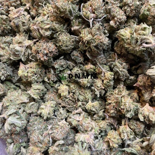 SFV OG - Cheap Weed Canada - Dispensary Near Me Now