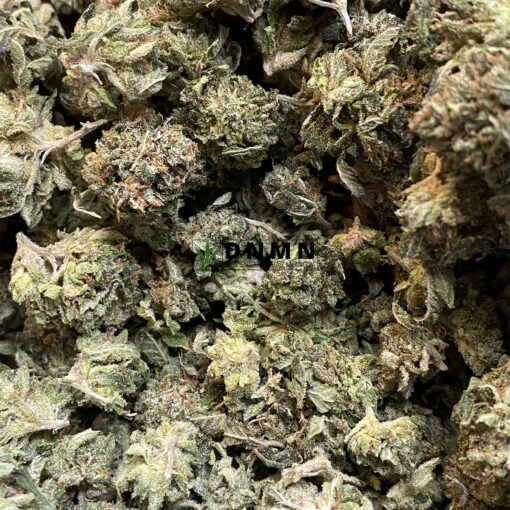 SFV OG - Online Dispensary Canada - Dispensary Near Me Now