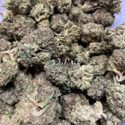 Tuna Rockstar - Cheap Weed Canada - Dispensary Near Me Now