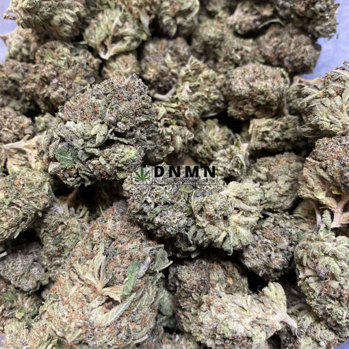 Tuna Rockstar - Cheap Weed Canada - Dispensary Near Me Now