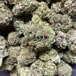 Black Tuna - Online Dispensary Canada - Dispensary Near Me Now