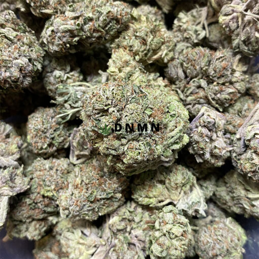 Black Tuna - Online Dispensary Canada - Dispensary Near Me Now