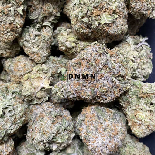 Blueberry Diesel - Online Dispensary Canada - Dispensary Near Me Now