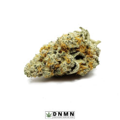 Citrus Skunk - Buy Weed Online - Dispensary Near Me Now