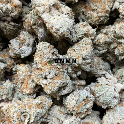Citrus Skunk - Online Dispensary Canada - Dispensary Near Me Now