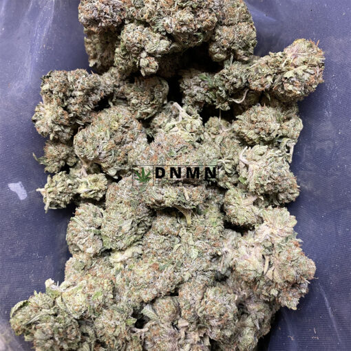 El Chapo - Cheap Weed Canada - Dispensary Near Me Now