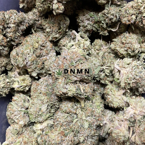 El chapo - Online Dispensary Canada - Dispensary Near Me Now