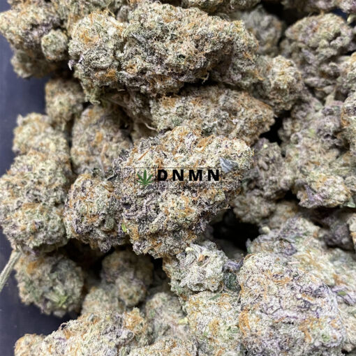 Grape Punch - Online Dispensary Canada - Dispensary Near Me Now
