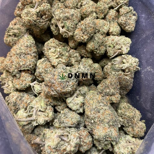 Sour Puss - Cheap Weed Canada - Dispensary Near Me Now