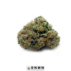 Tahoe Alien - Buy Weed Online - Dispensary Near Me Now