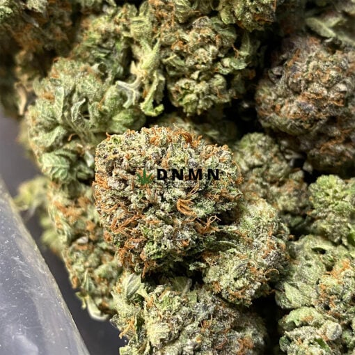 Tahoe Alien - Online Dispensary Canada - Dispensary Near Me Now