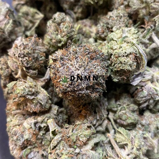 White Truffle - Online Dispensary Canada - Dispensary Near Me Now