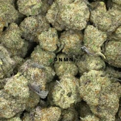 Black Gum LSO - Online Dispensary Canada - Dispensary Near Me Now