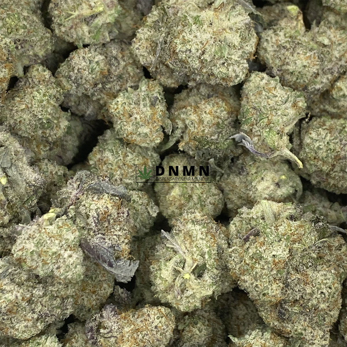 Black Gum LSO - Online Dispensary Canada - Dispensary Near Me Now