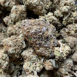 Dr. Pie - Online Dispensary Canada - Dispensary Near Me Now