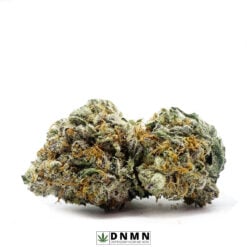 Tropicana Punch - Buy Weed Online - Dispensary Near Me Now