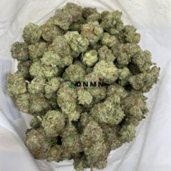 Tropicana Punch - Cheap Weed Canada - Dispensary Near Me Now