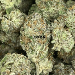 Tropicana Punch - Online Dispensary Canada - Dispensary Near Me Now