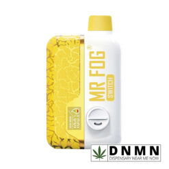 Banana PNCK dude - 20ML NIC