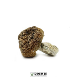 Blue Meanie Magic Mushroom - Buy Weed Online - Dispensary Near Me Now