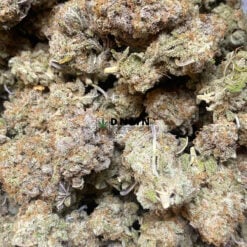 Blueberry Cap - Cheap Weed Canada - Dispensary Near Me Now