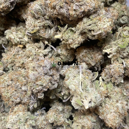 Blueberry Cap - Cheap Weed Canada - Dispensary Near Me Now