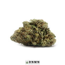 Cinderella 99 - Buy Weed Online - Dispensary Near Me Now