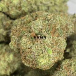 Cinderella 99 - Online Dispensary Canada - Dispensary Near Me Now