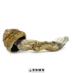 GC Thrasher Magic Mushroom - Buy Weed Online - Dispensary Near Me Now