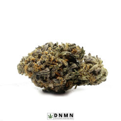 Master Yoda - Buy Weed Online - Dispensary Near Me Now