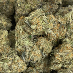 Master Yoda - Online Dispensary Canada - Dispensary Near Me Now