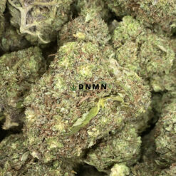 New York Sour Diesel - Online Dispensary Canada - Dispensary Near Me Now