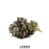 Purple Gelato - Buy Weed Online - Dispensary Near Me Now