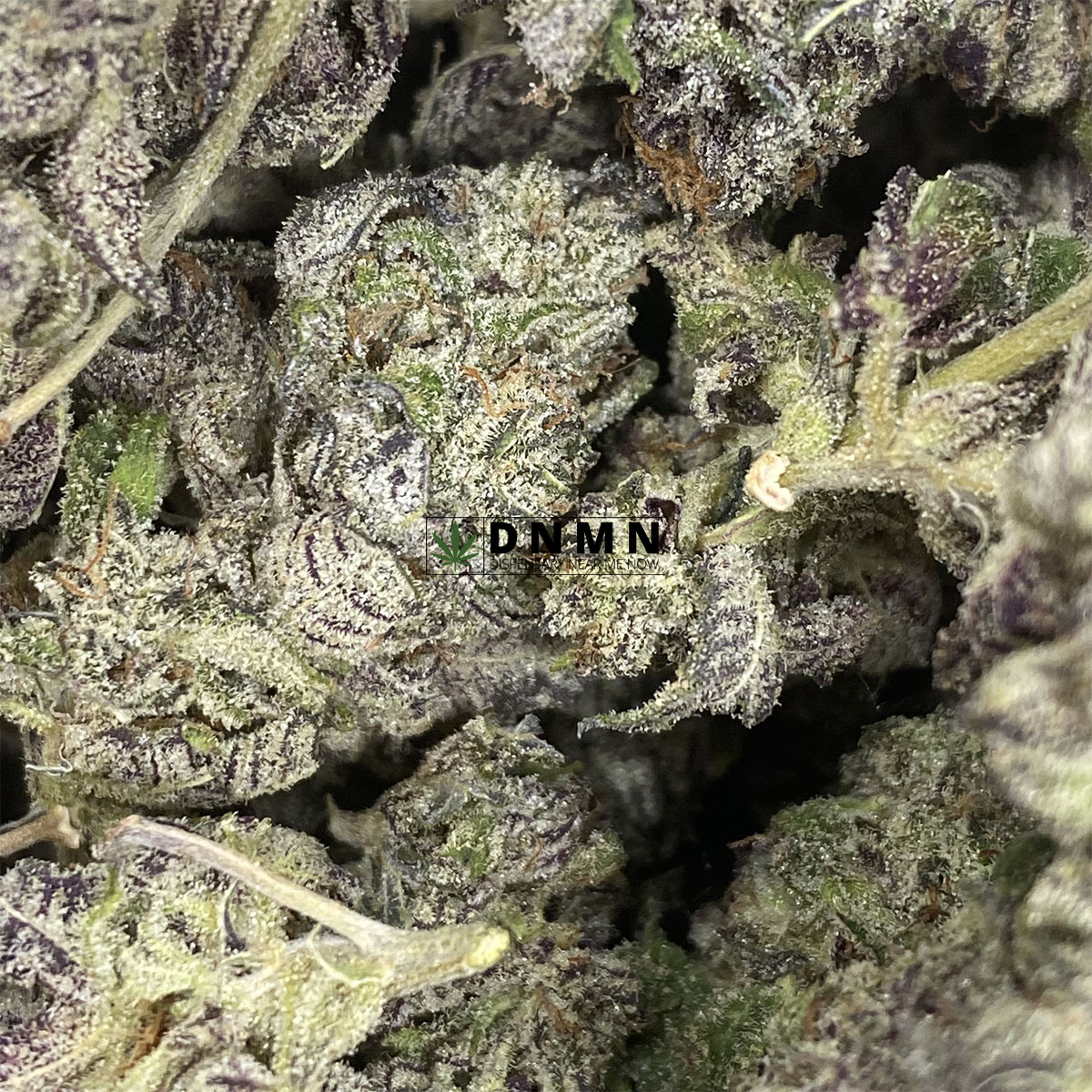 Purple Gelato - Online Dispensary Canada - Dispensary Near Me Now