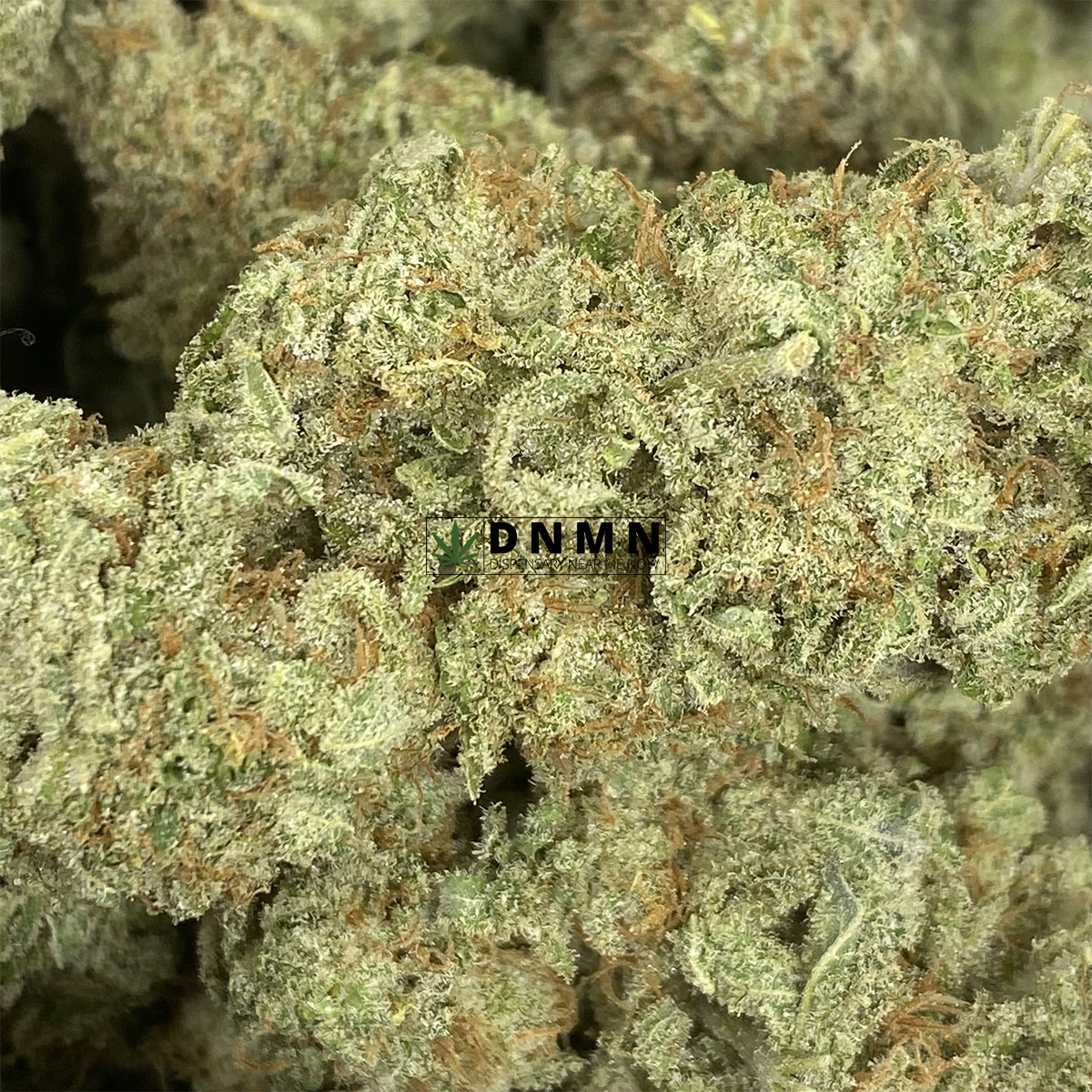 Super Silver Haze - Online Dispensary Canada - Dispensary Near Me Now