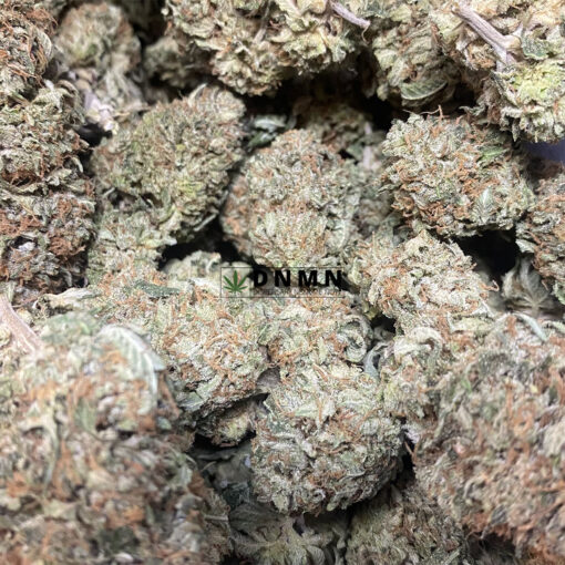 Tuna Kush - Online Dispensary Canada - Dispensary Near Me Now