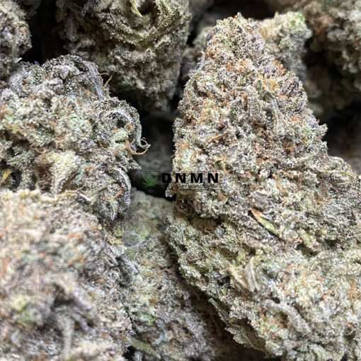 Hawaiian Haze - Cheap Weed Canada - Dispensary Near Me Now