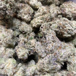 Afghani Bullrider - Cheap Weed Canada - Dispensary Near Me Now