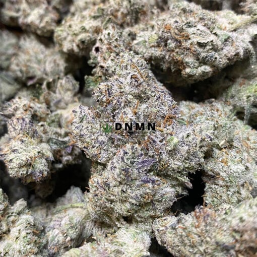 Afghani Bullrider - Online Dispensary Canada - Dispensary Near Me Now