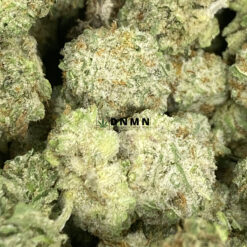 BC Kush Popcorn - Online Dispensary Canada - Dispensary Near Me Now